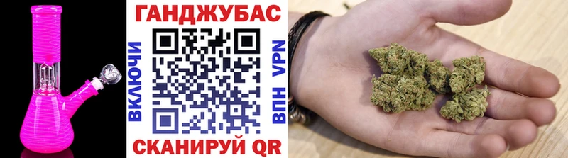 дарнет шоп  Димитровград  Бошки марихуана планчик 